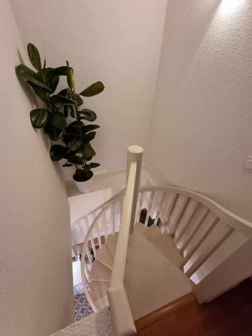 Le Dali-duplex Au Pied De Castillet * Perpignan